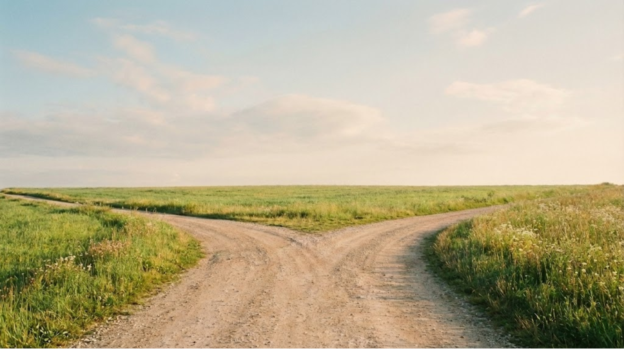二択をイメージさせるシンプルな分かれ道の抽象表現。